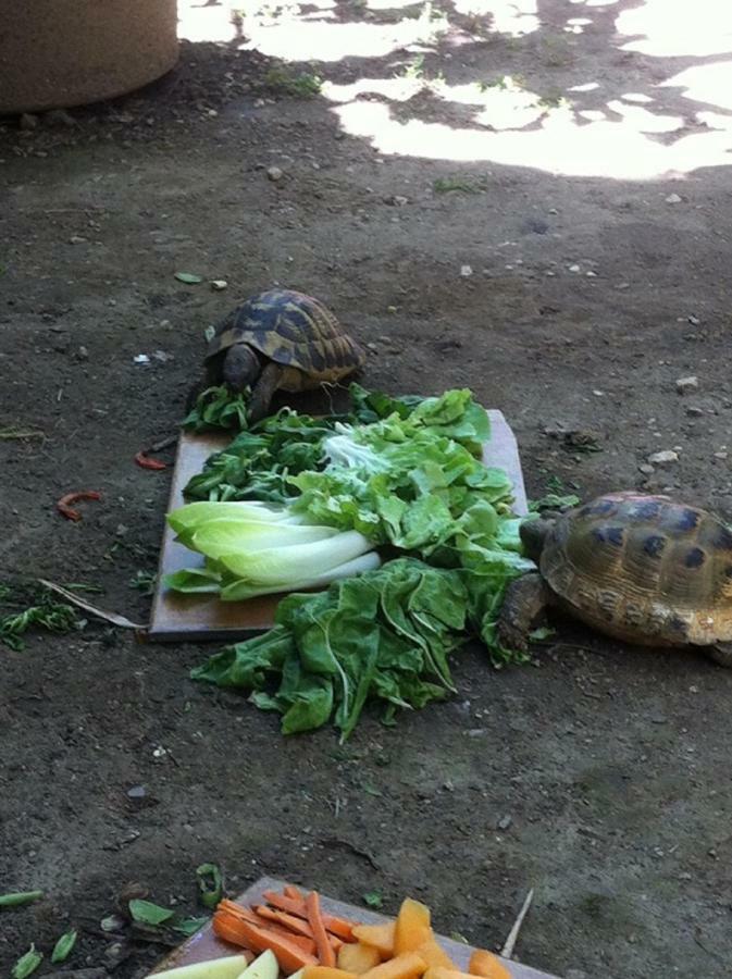 GaréoultChez Mimi & Chouchou公寓 外观 照片